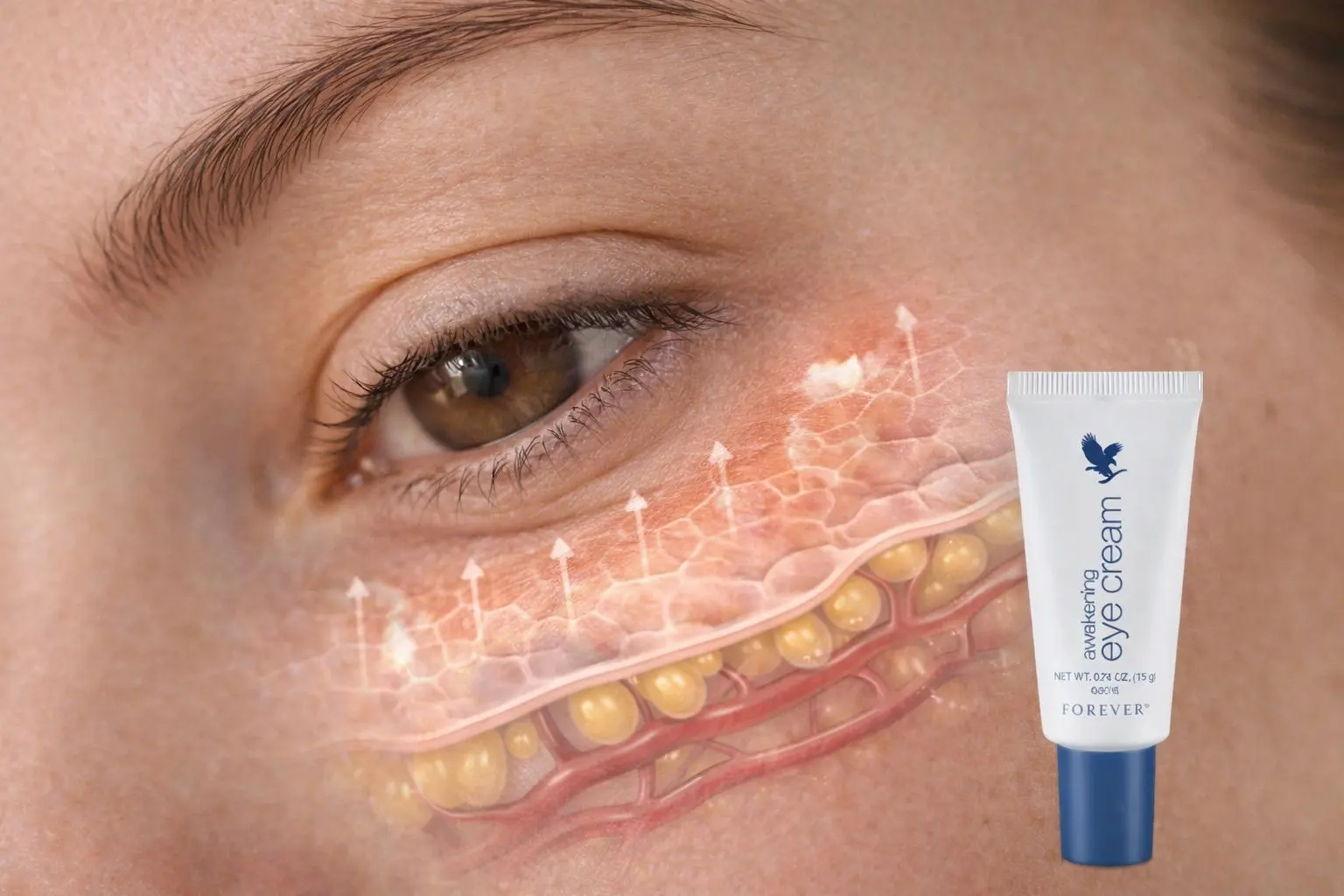 Awakening Eye Cream – ergänzendes Foto